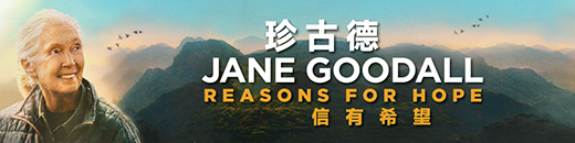 珍古德 — 信有希望
